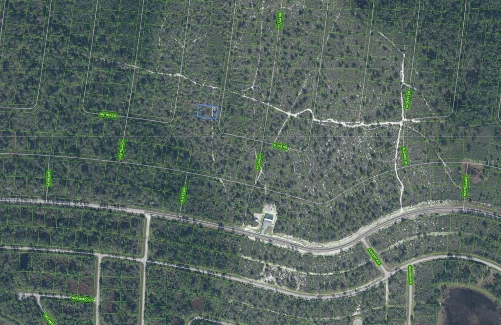 6464 Alicia Drive Sebring FL 33872