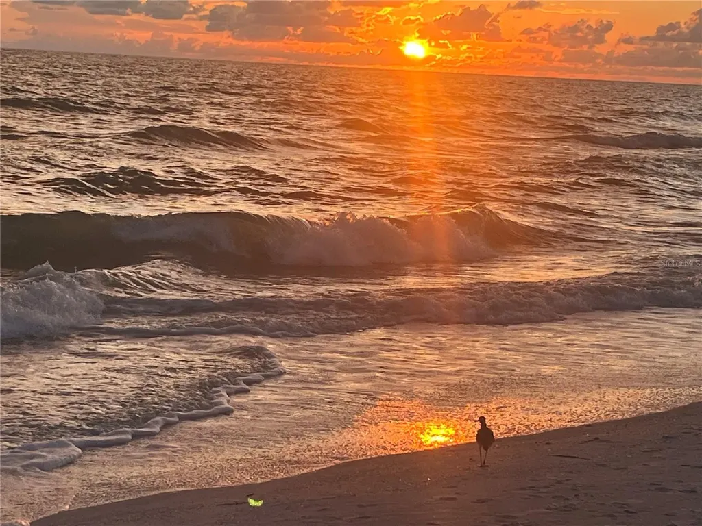 18650 Gulf Boulevard Indian Shores FL 33785