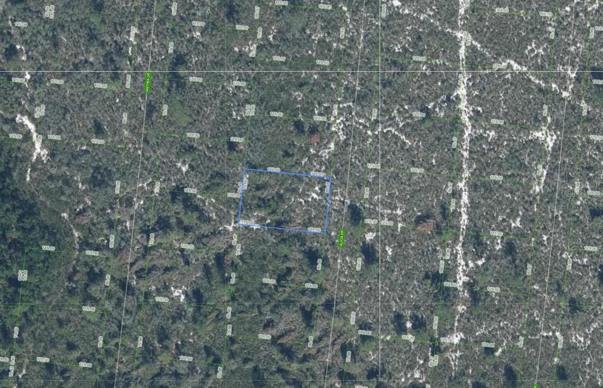 Sebring FL 33872