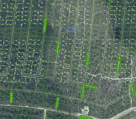 Sebring FL 33872