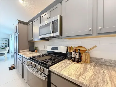 1411 Franklin Court The Villages FL 32163