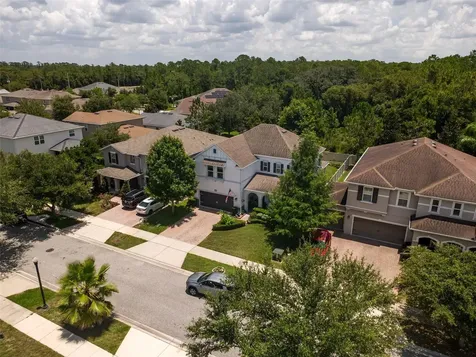 2317 Avellino Avenue St Cloud FL 34771