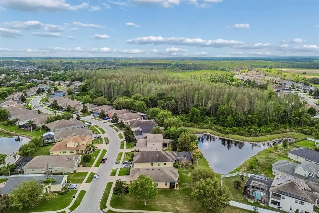 19110 Sunset Bay Drive Land O Lakes FL 34638