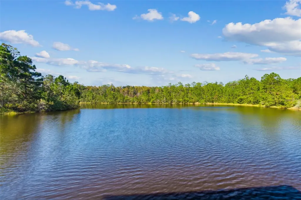 19110 Sunset Bay Drive Land O Lakes FL 34638