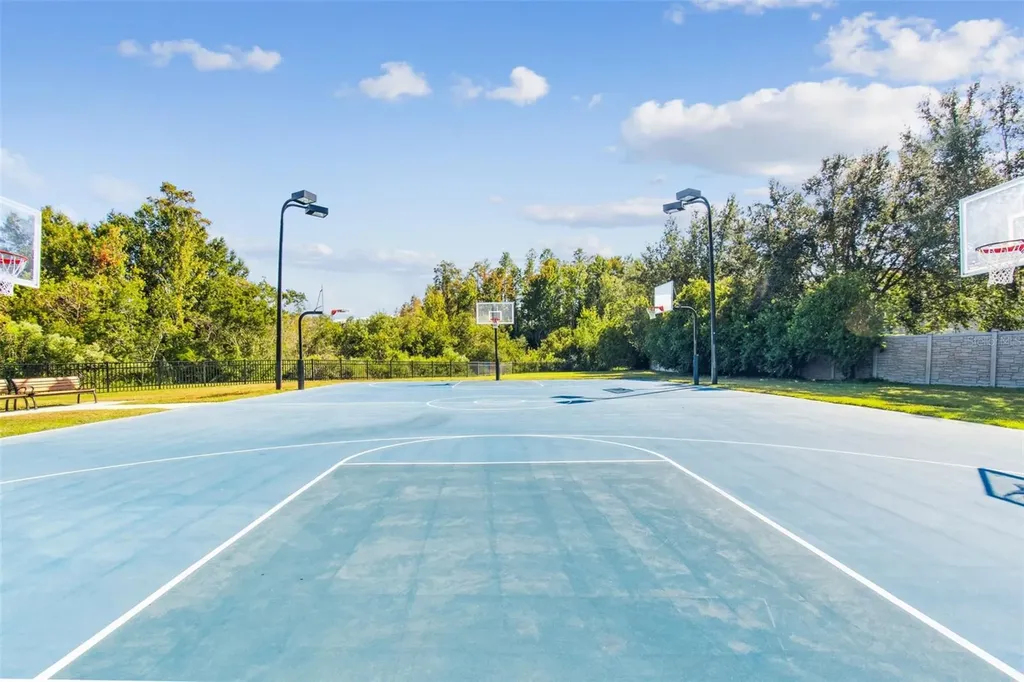 19110 Sunset Bay Drive Land O Lakes FL 34638