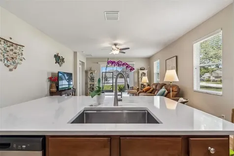 19110 Sunset Bay Drive Land O Lakes FL 34638