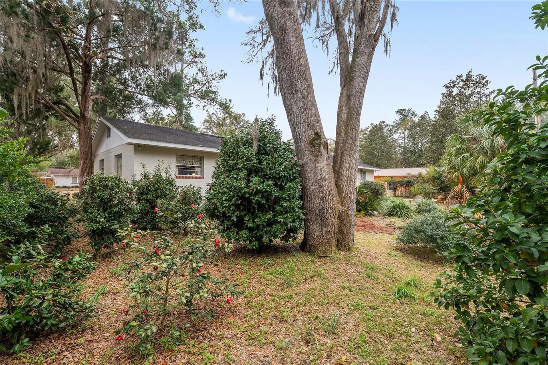 3710 NW 22nd Place Gainesville FL 32605