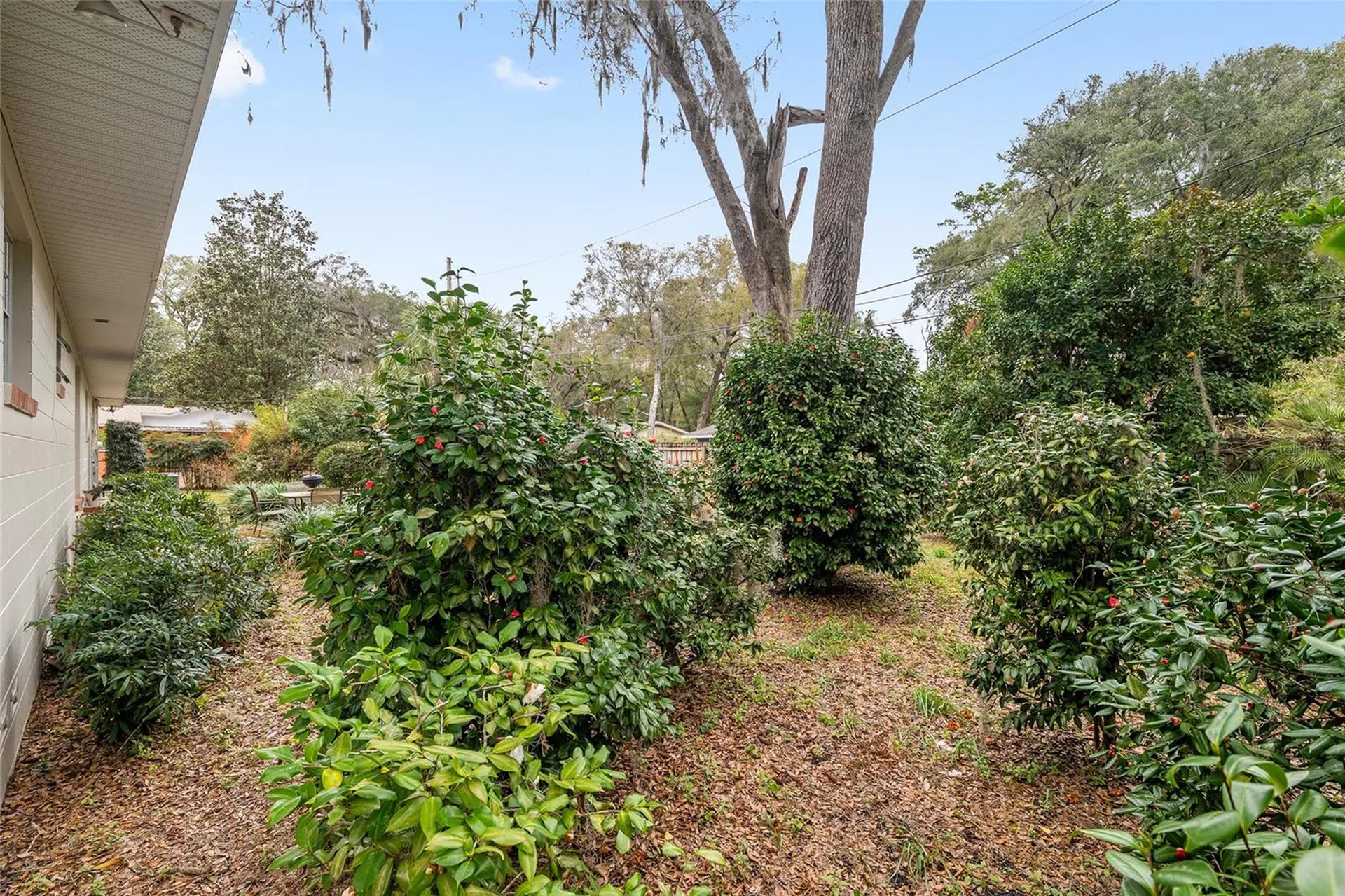 3710 NW 22nd Place Gainesville FL 32605