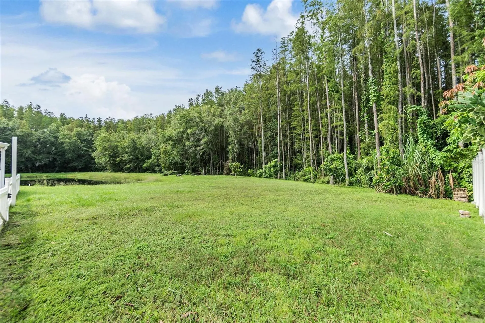 5923 Bitterwood Court Tampa FL 33625