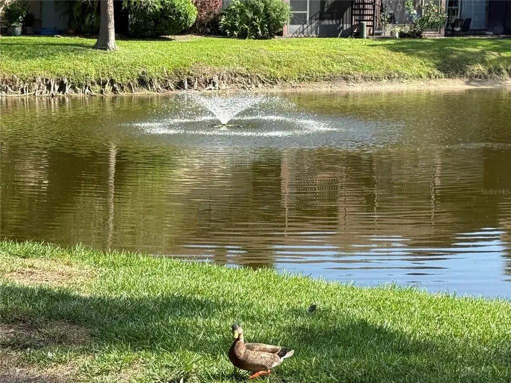 870 Village Lake Terrace N St Petersburg FL 33716