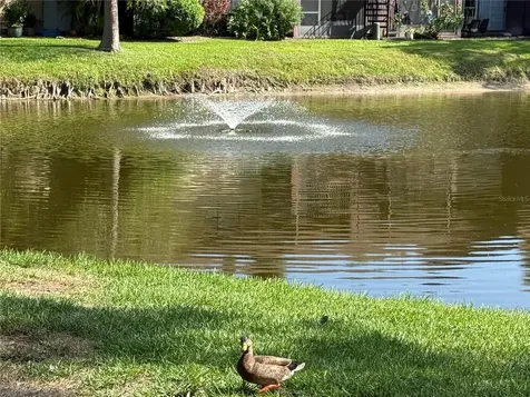 870 Village Lake Terrace N St Petersburg FL 33716