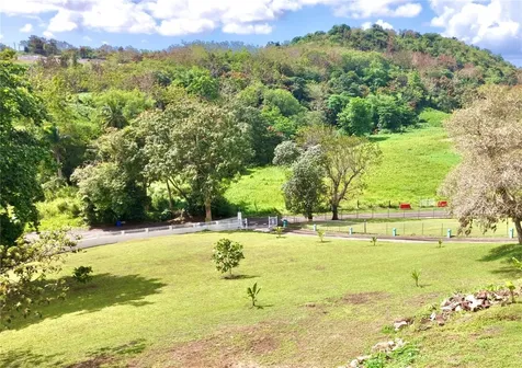 PR-858 Km 2.1 Sec. Cacao Bo.trujillo Bajo Carolina PR 00986