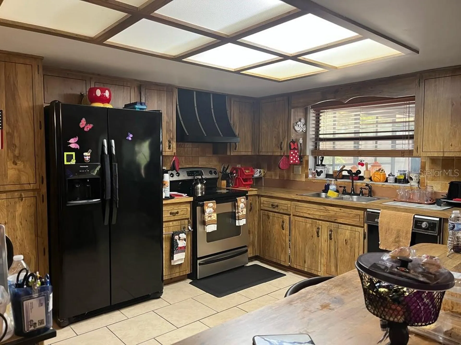16920 SW 39th Circle Ocala FL 34473