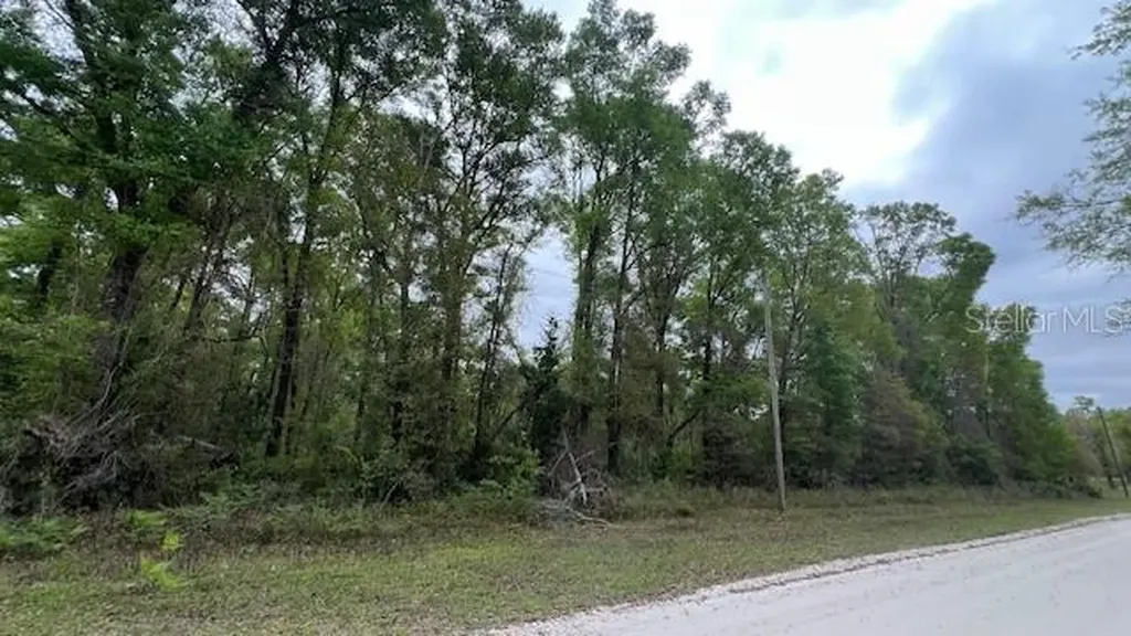 NW 37 Court Branford FL 32008
