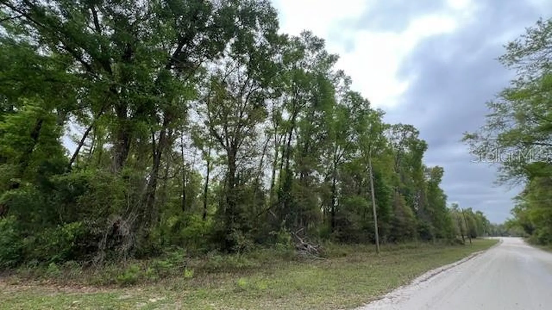 NW 37 Court Branford FL 32008