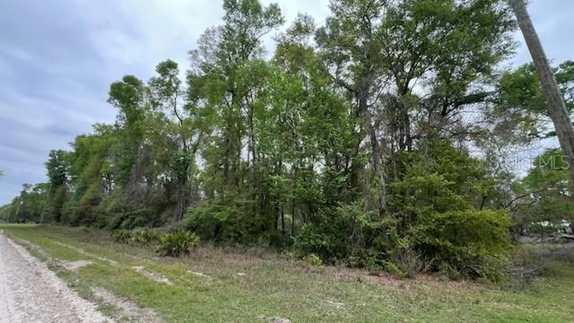 NW 37 Court Branford FL 32008