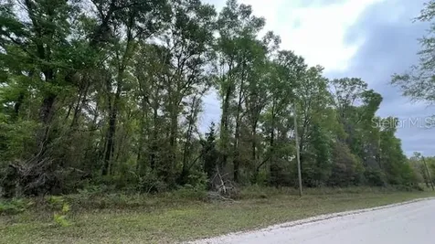 NW 37 Court Branford FL 32008