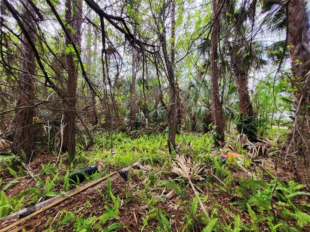 1720 Lantana Court NW Palm Bay FL 32907
