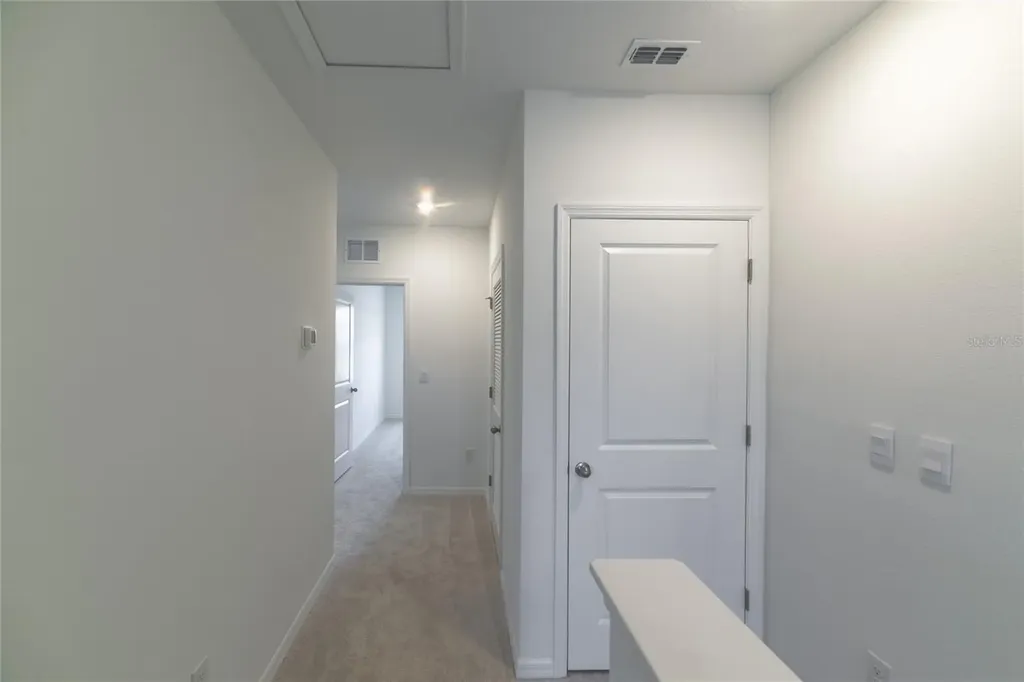 17208 English Chestnut Way Land O Lakes FL 34638