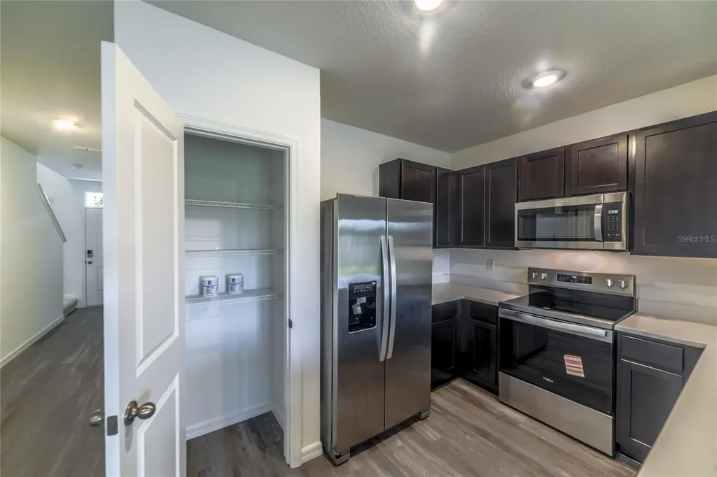 17208 English Chestnut Way Land O Lakes FL 34638