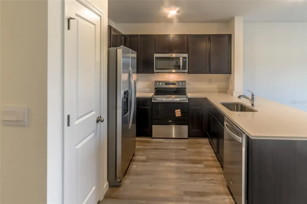 17208 English Chestnut Way Land O Lakes FL 34638