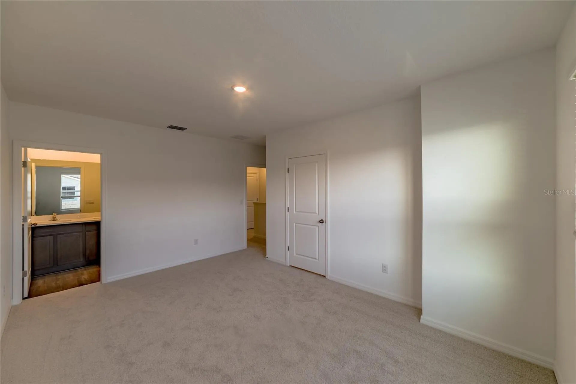 17208 English Chestnut Way Land O Lakes FL 34638