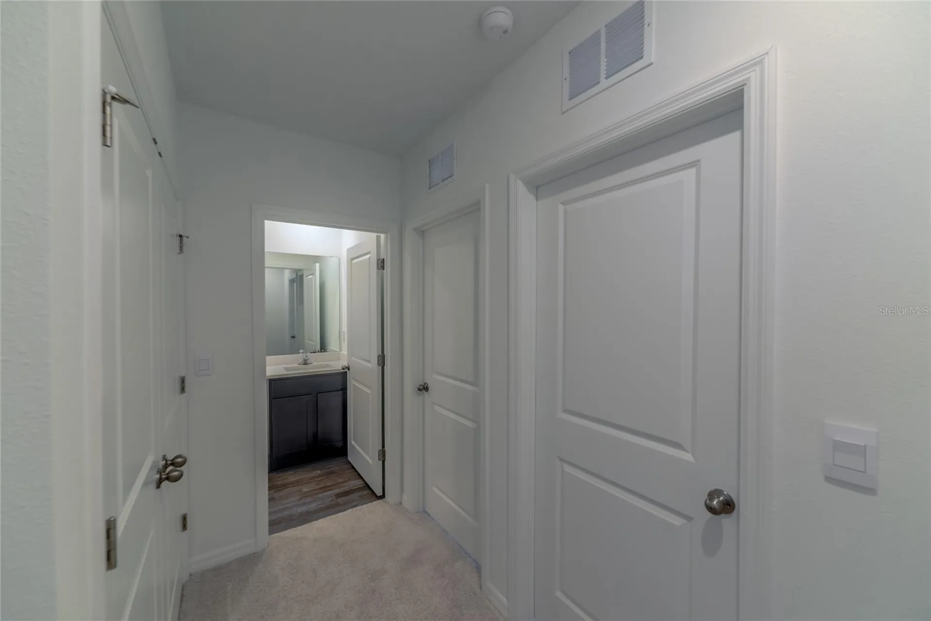17208 English Chestnut Way Land O Lakes FL 34638