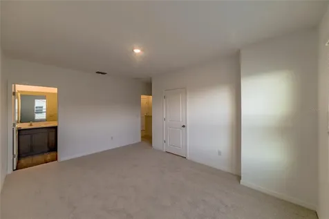 17208 English Chestnut Way Land O Lakes FL 34638
