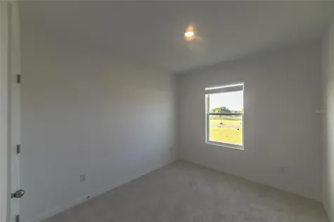 17208 English Chestnut Way Land O Lakes FL 34638