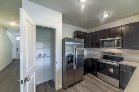17208 English Chestnut Way Land O Lakes FL 34638