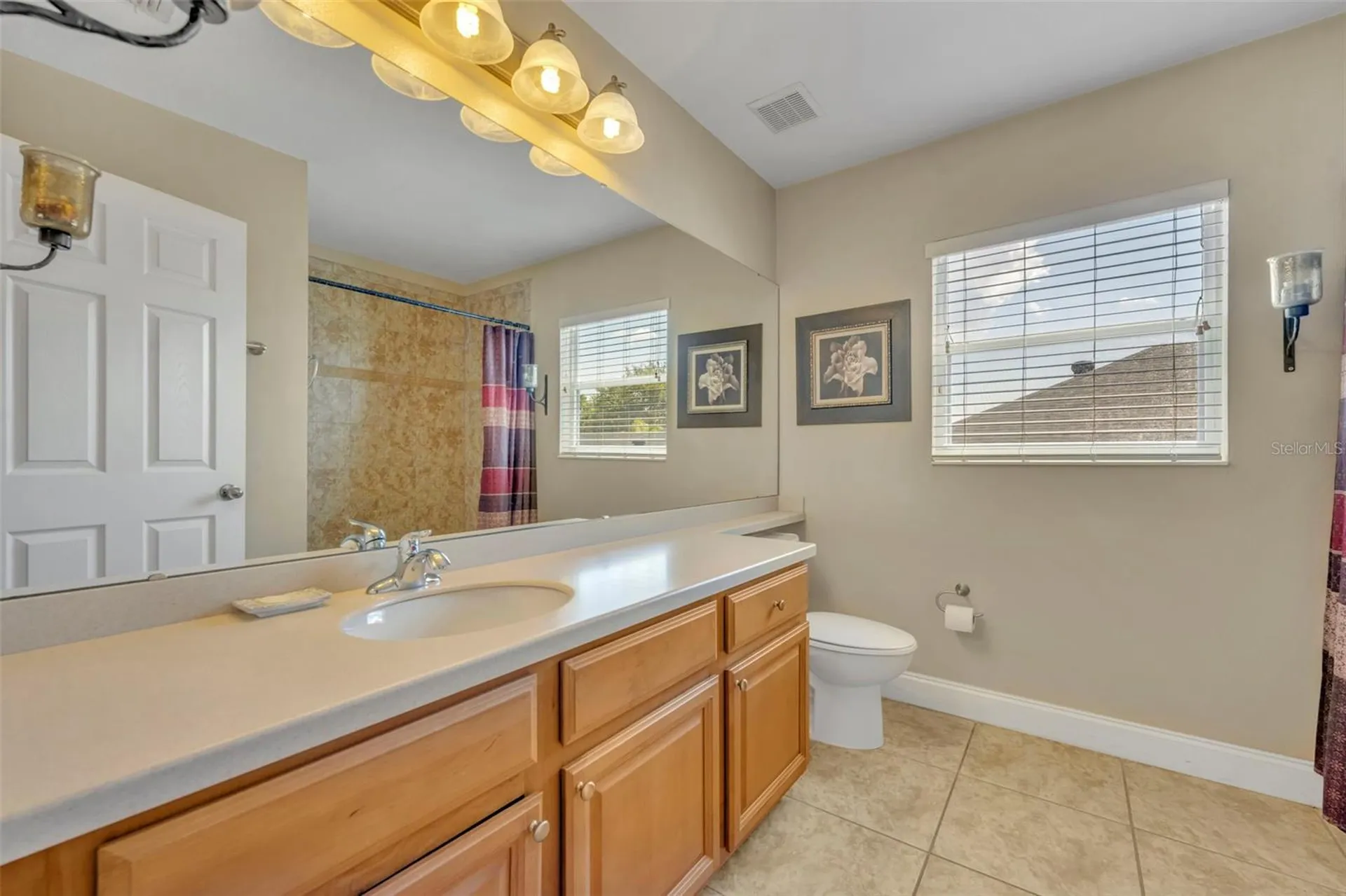 5459 Rishley Run Way Mount Dora FL 32757