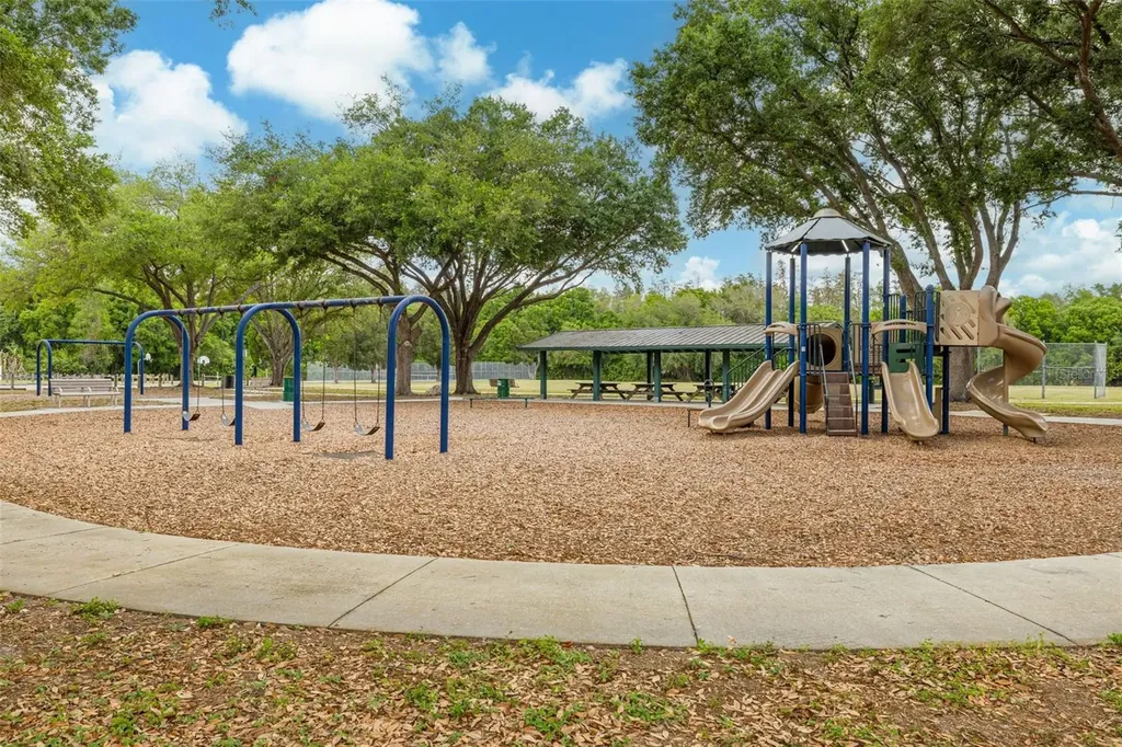 11042 Peppersong Drive Riverview FL 33578