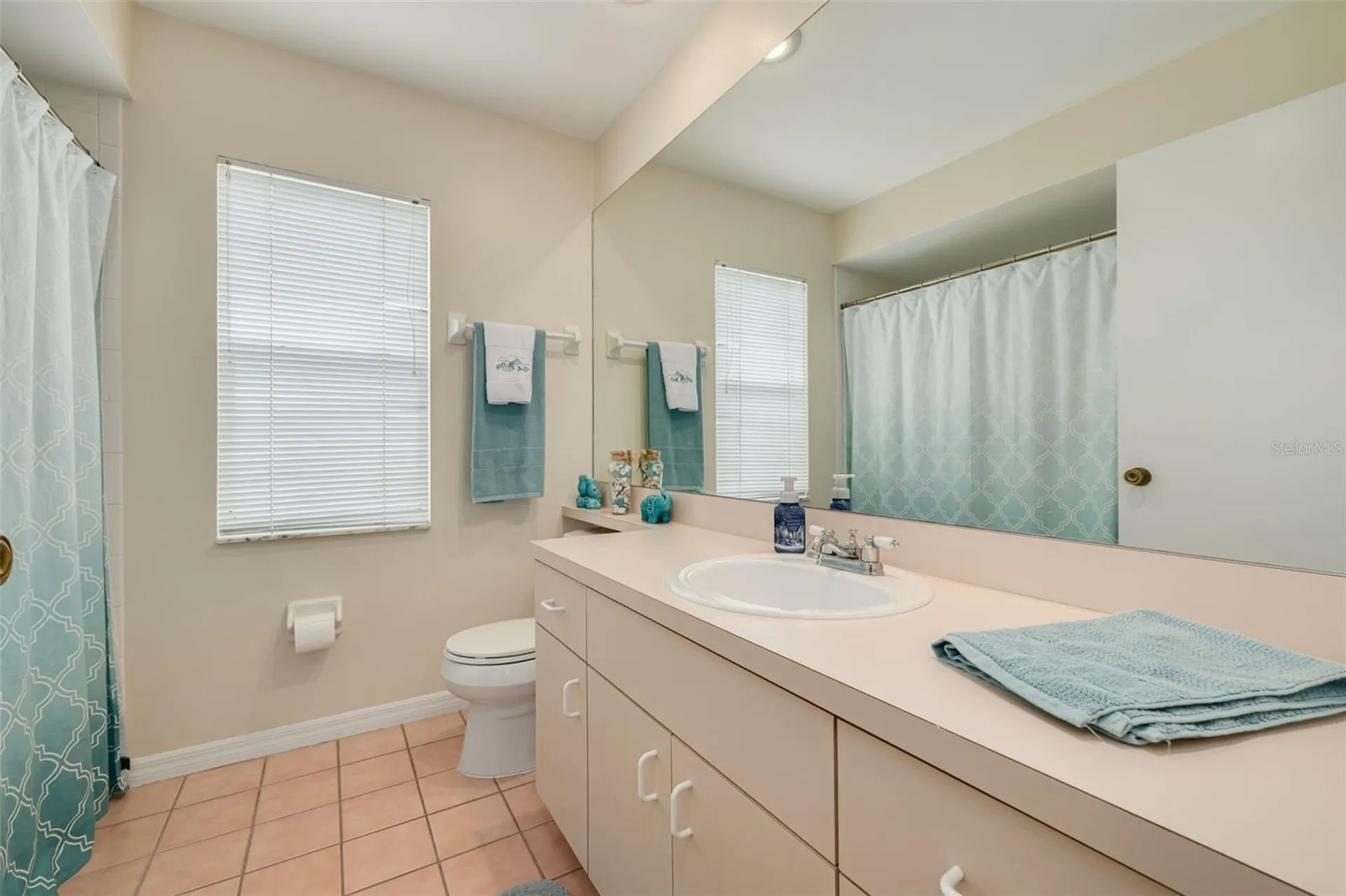 11042 Peppersong Drive Riverview FL 33578