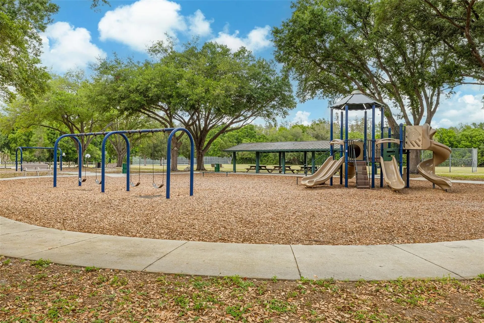 11042 Peppersong Drive Riverview FL 33578