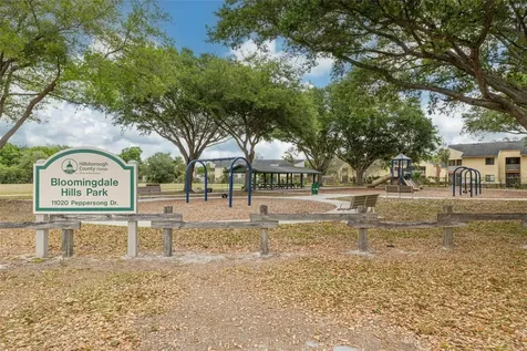 11042 Peppersong Drive Riverview FL 33578