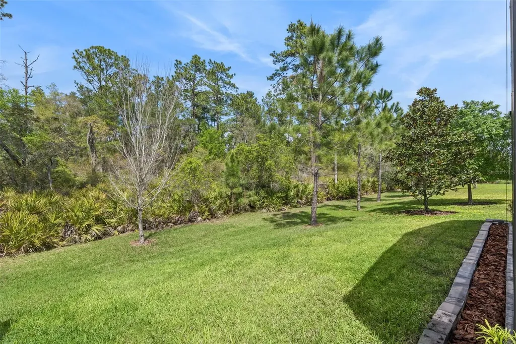 1157 Avery Meadows Way Deland FL 32724