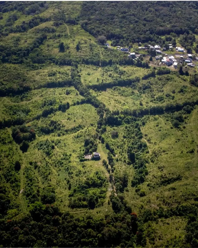 Carr 119 Int. 448 Km 3.7 Road San Sebastian PR 00685