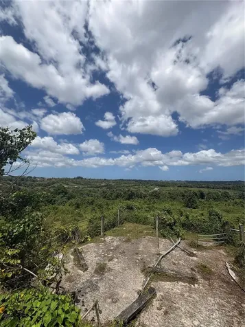 Carr 119 Int. 448 Km 3.7 Road San Sebastian PR 00685