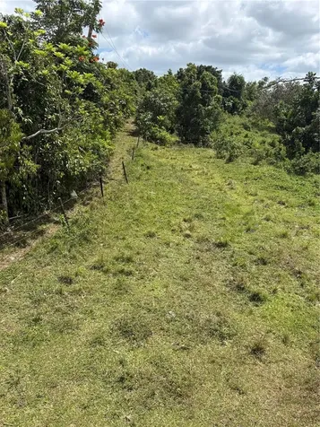 Carr 119 Int. 448 Km 3.7 Road San Sebastian PR 00685