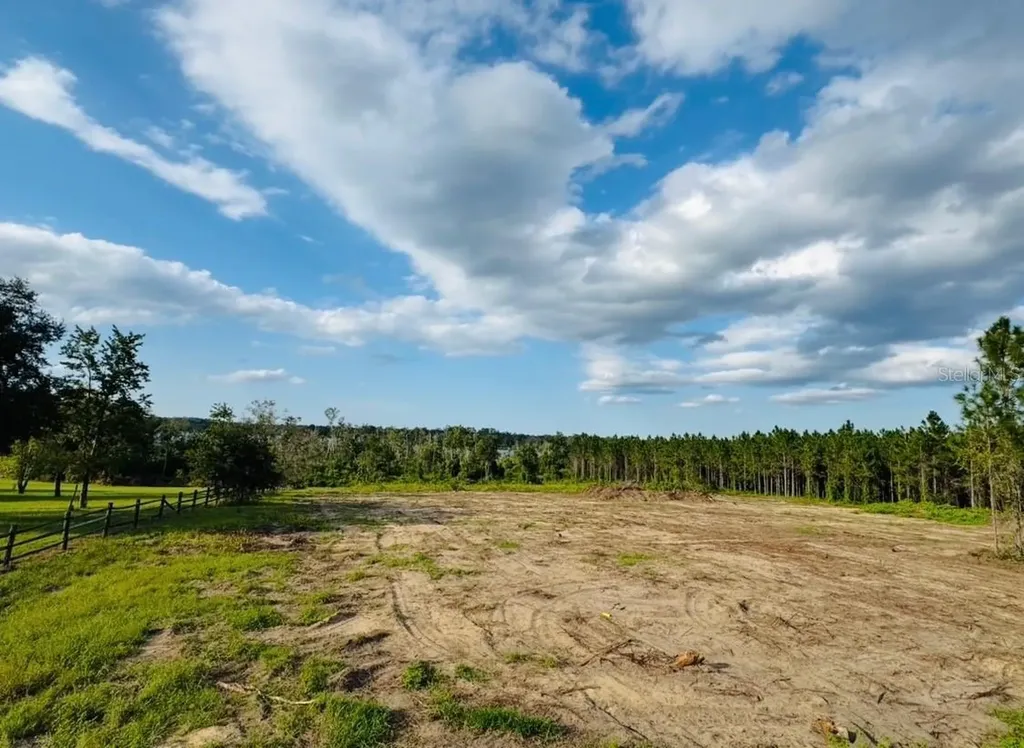 16865 SE 27th Place Road Ocklawaha FL 32179