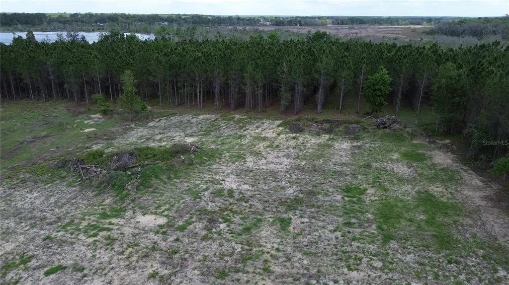 16865 SE 27th Place Road Ocklawaha FL 32179