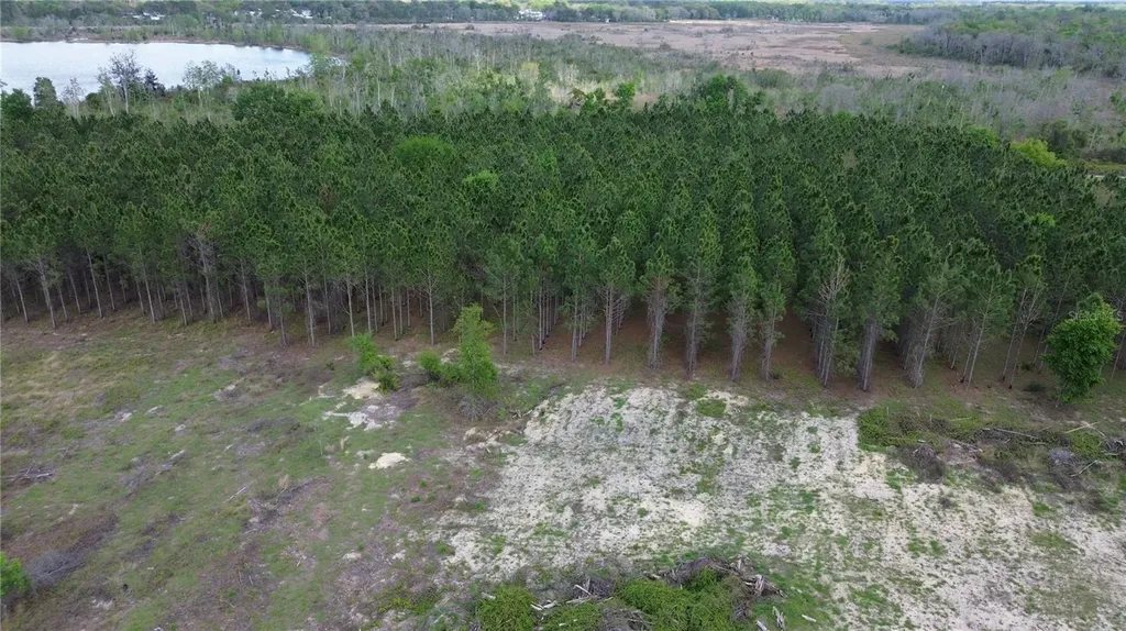 16865 SE 27th Place Road Ocklawaha FL 32179