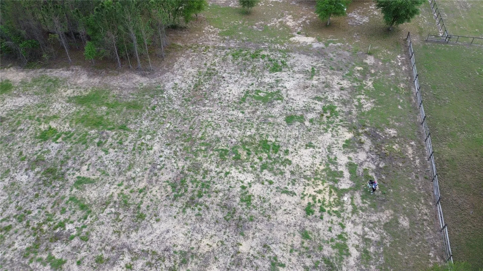 16865 SE 27th Place Road Ocklawaha FL 32179