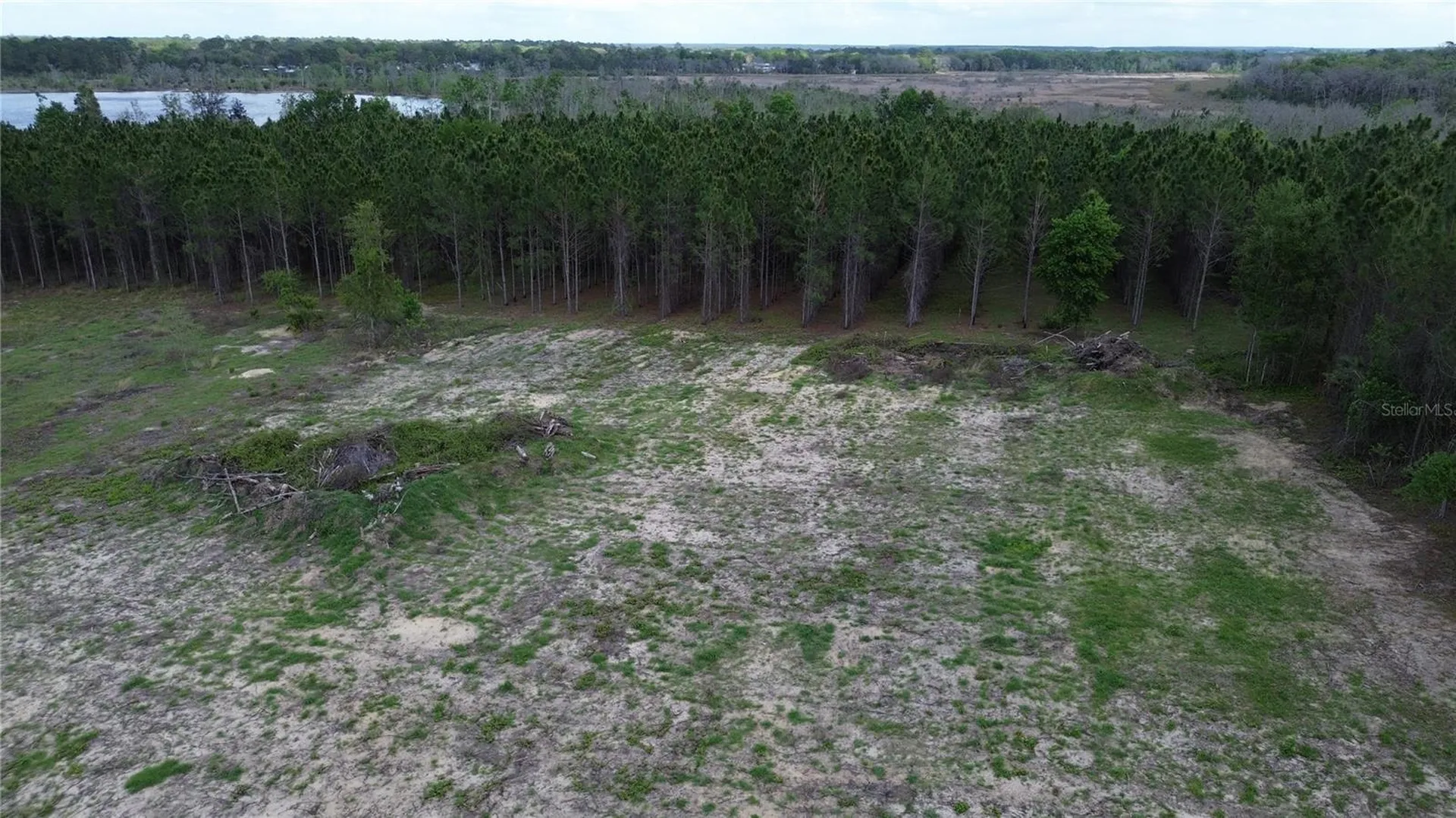 16865 SE 27th Place Road Ocklawaha FL 32179