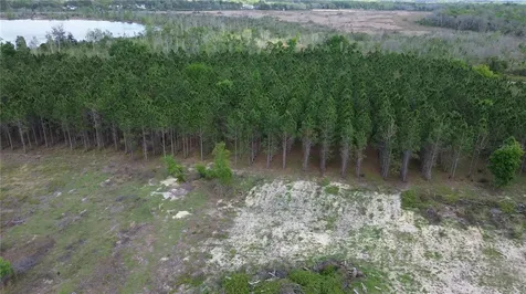 16865 SE 27th Place Road Ocklawaha FL 32179