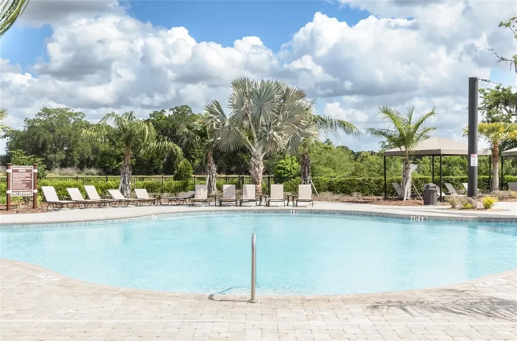 34154 Jasper Stone Drive Wesley Chapel FL 33543