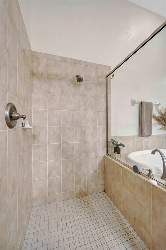 3707 Fawnmist Drive Wesley Chapel FL 33544