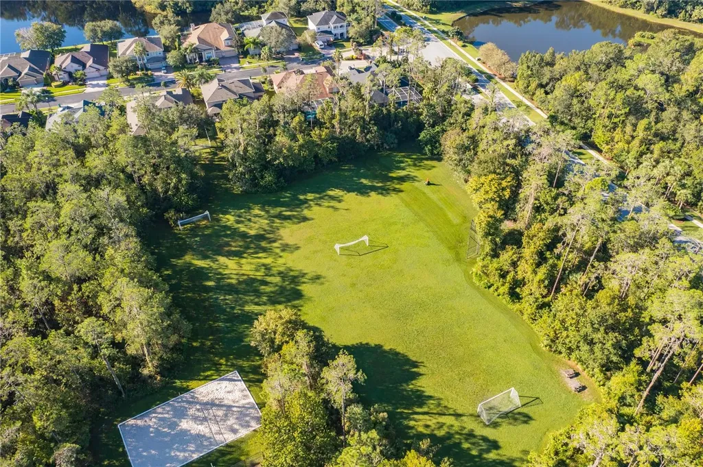 3707 Fawnmist Drive Wesley Chapel FL 33544