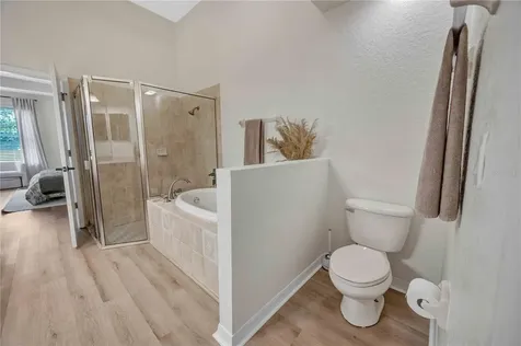 3707 Fawnmist Drive Wesley Chapel FL 33544