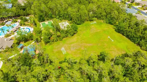 3707 Fawnmist Drive Wesley Chapel FL 33544